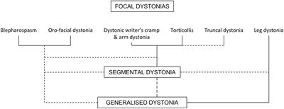 How Many Dystonias? Clinical Evidence